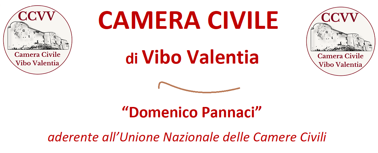 https://www.cameracivilevibovalentia.it/